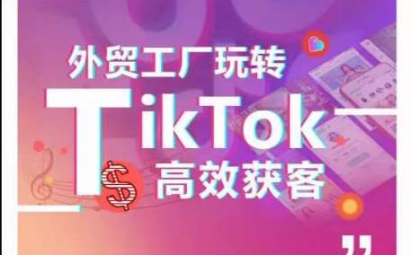 外贸工厂玩转TikTok高效获客，多种引流方式与账号定位技巧，拆解爆款短视频打造成功案例网创吧-网创项目资源站-副业项目-创业项目-搞钱项目网创吧