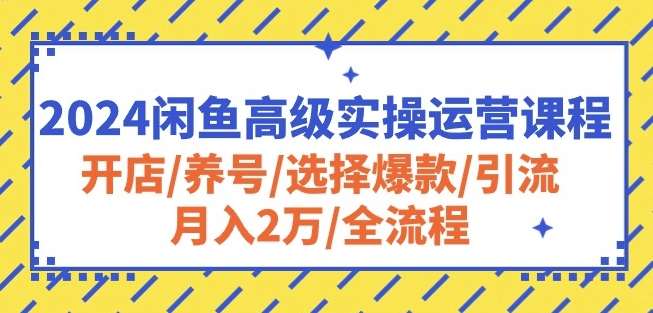 2024闲鱼高级实操运营课程：开店/养号/选择爆款/引流/月入2万/全流程网创吧-网创项目资源站-副业项目-创业项目-搞钱项目网创吧