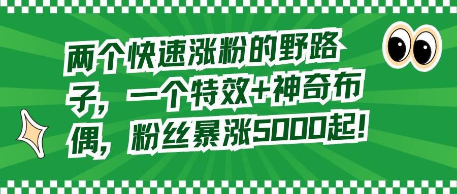 （8606期）两个快速涨粉的野路子，一个特效+神奇布偶，粉丝暴涨5000起！网创吧-网创项目资源站-副业项目-创业项目-搞钱项目网创吧