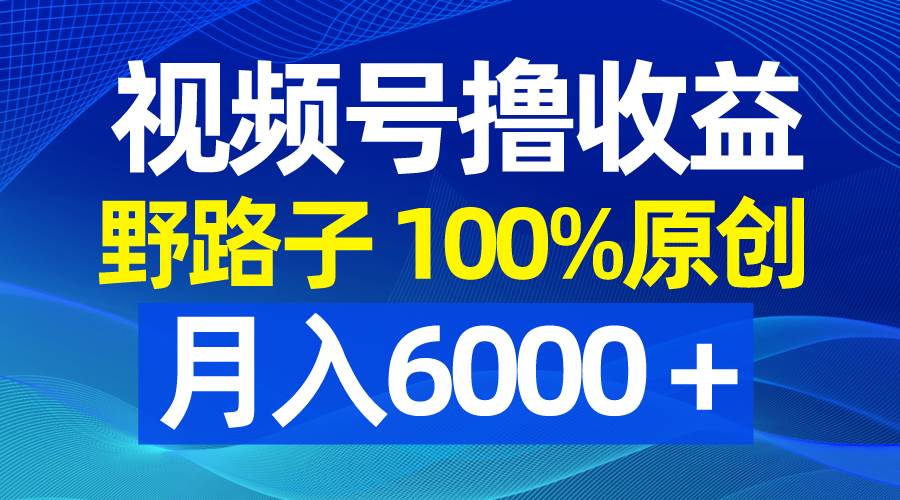 （8679期）视频号野路子撸收益，100%原创，条条爆款，月入6000＋网创吧-网创项目资源站-副业项目-创业项目-搞钱项目网创吧