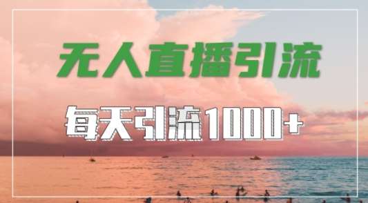 抖音快手视频号全平台通用，无人直播引流法，超暴力引流1000+高质量精准创业粉【揭秘】网创吧-网创项目资源站-副业项目-创业项目-搞钱项目网创吧