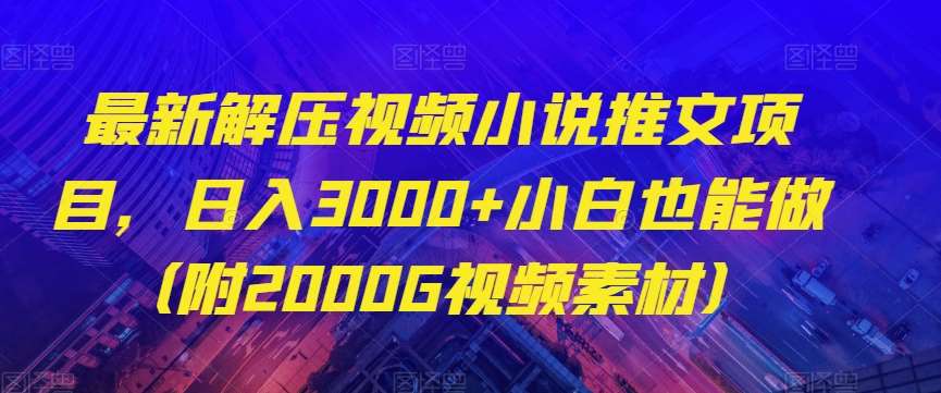 最新解压视频小说推文项目，日入3000+小白也能做（附2000G视频素材）【揭秘】网创吧-网创项目资源站-副业项目-创业项目-搞钱项目网创吧