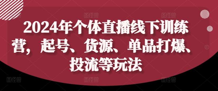 2024年个体直播训练营，起号、货源、单品打爆、投流等玩法网创吧-网创项目资源站-副业项目-创业项目-搞钱项目网创吧