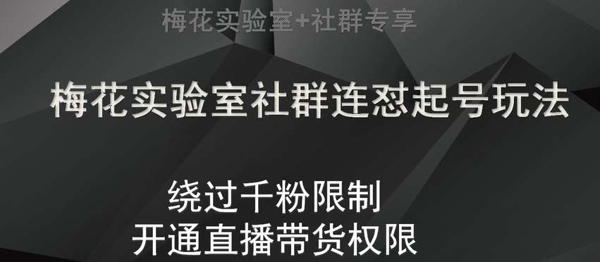 梅花实验室社群连怼起号玩法，视频号绕过千粉限制，开通直播带货权限【揭秘】网创吧-网创项目资源站-副业项目-创业项目-搞钱项目网创吧
