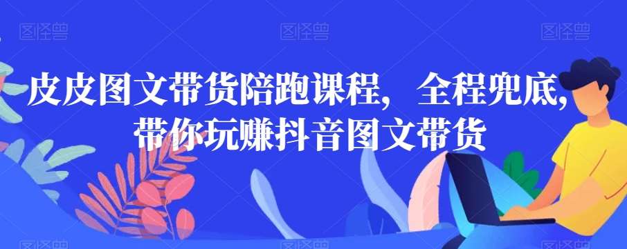 皮皮图文带货陪跑课程，全程兜底，带你玩赚抖音图文带货网创吧-网创项目资源站-副业项目-创业项目-搞钱项目网创吧