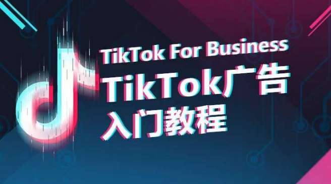 TikTok广告入门教程，从0到1掌握TikTok投放的全流程网创吧-网创项目资源站-副业项目-创业项目-搞钱项目网创吧