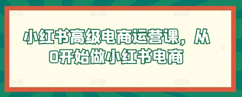 小红书高级电商运营课，从0开始做小红书电商网创吧-网创项目资源站-副业项目-创业项目-搞钱项目网创吧