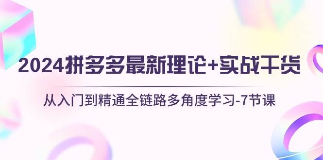 （10816期）2024拼多多 最新理论+实战干货，从入门到精通全链路多角度学习-7节课网创吧-网创项目资源站-副业项目-创业项目-搞钱项目网创吧