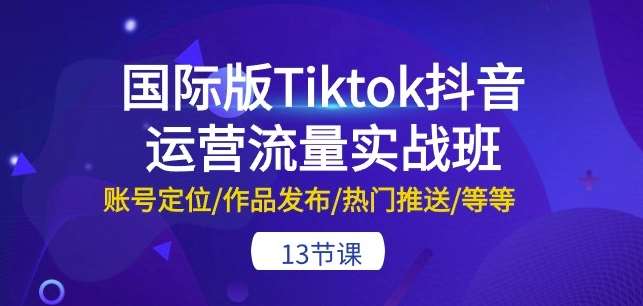 国际版Tiktok抖音运营流量实战班：账号定位/作品发布/热门推送/等等-13节网创吧-网创项目资源站-副业项目-创业项目-搞钱项目网创吧