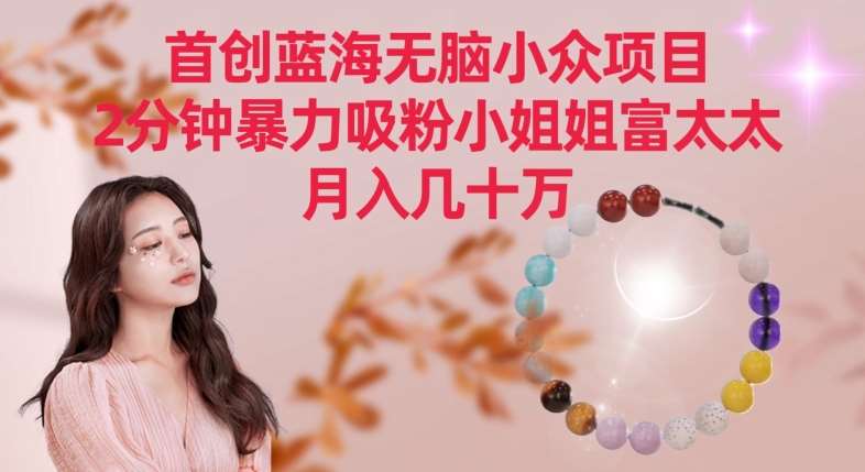 首创蓝海无脑小众项目，2分钟暴力吸粉小姐姐富太太，月入几十万【揭秘】网创吧-网创项目资源站-副业项目-创业项目-搞钱项目网创吧