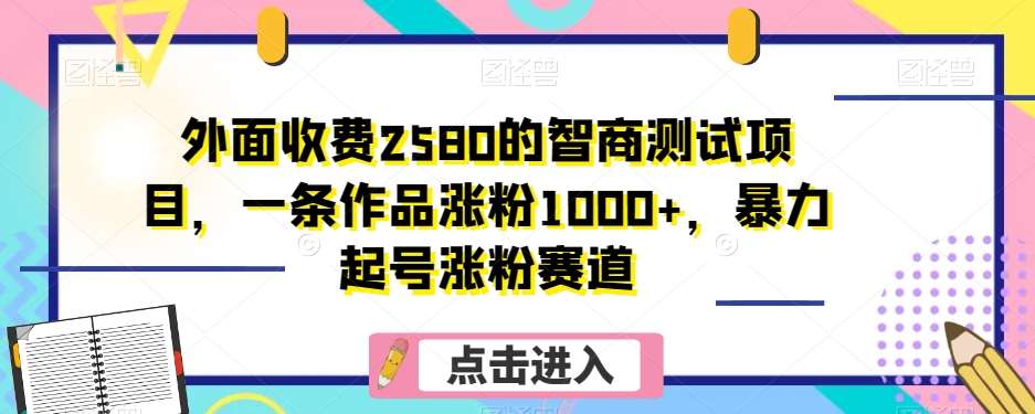 外面收费2580的智商测试项目，一条作品涨粉1000+，暴力起号涨粉赛道【揭秘】网创吧-网创项目资源站-副业项目-创业项目-搞钱项目网创吧