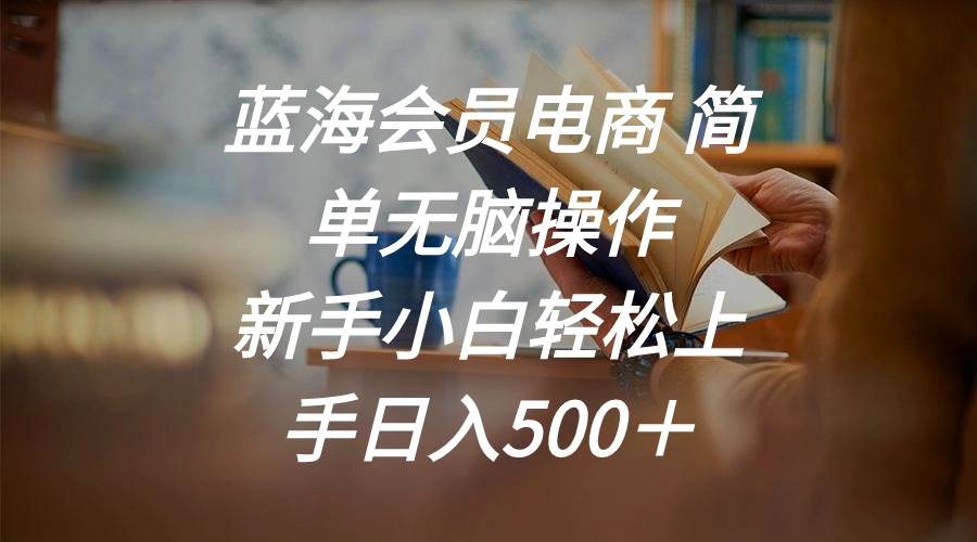 （11068期）蓝海会员电商 简单无脑操作 新手小白轻松上手日入500＋网创吧-网创项目资源站-副业项目-创业项目-搞钱项目网创吧
