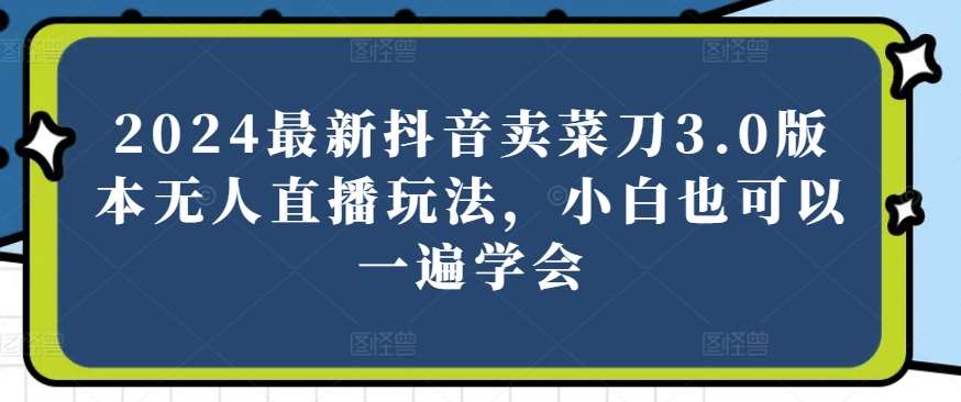 2024最新抖音卖菜刀3.0版本无人直播玩法，小白也可以一遍学会【揭秘】网创吧-网创项目资源站-副业项目-创业项目-搞钱项目网创吧