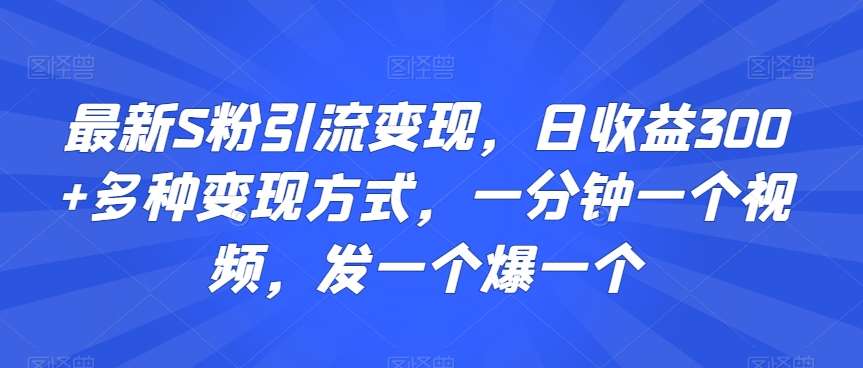最新S粉引流变现，日收益300+多种变现方式，一分钟一个视频，发一个爆一个【揭秘】网创吧-网创项目资源站-副业项目-创业项目-搞钱项目网创吧