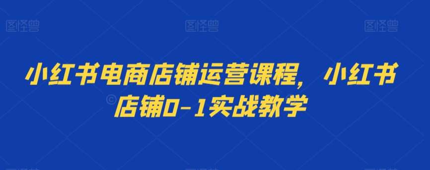 小红书电商店铺运营课程，小红书店铺0-1实战教学网创吧-网创项目资源站-副业项目-创业项目-搞钱项目网创吧