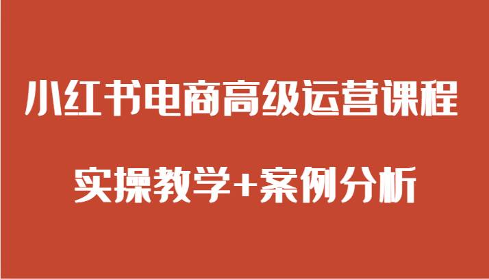 小红书电商高级运营课程 实操教学+案例分析网创吧-网创项目资源站-副业项目-创业项目-搞钱项目网创吧