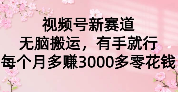 （9278期）视频号新赛道，无脑搬运，有手就行，每个月多赚3000多零花钱网创吧-网创项目资源站-副业项目-创业项目-搞钱项目网创吧