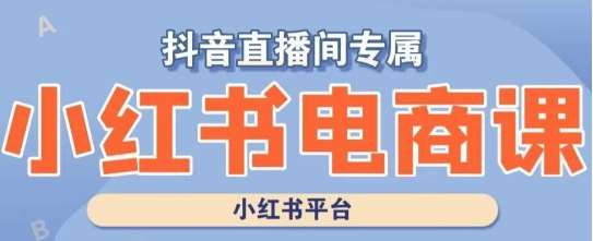 小红书电商高级运营课程，实操教学+案例分析网创吧-网创项目资源站-副业项目-创业项目-搞钱项目网创吧