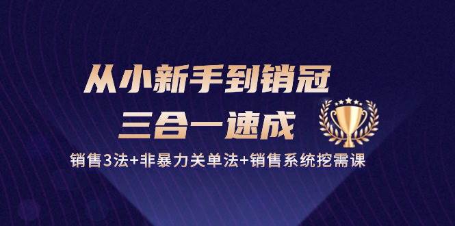 （10799期）从小新手到销冠 三合一速成：销售3法+非暴力关单法+销售系统挖需课 (27节)网创吧-网创项目资源站-副业项目-创业项目-搞钱项目网创吧