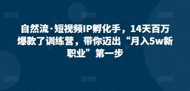 自然流·短视频IP孵化手，14天百万爆款了训练营，带你迈出“月入5w新职业”第一步网创吧-网创项目资源站-副业项目-创业项目-搞钱项目网创吧