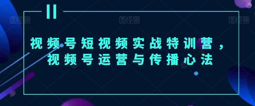 视频号短视频实战特训营，视频号运营与传播心法网创吧-网创项目资源站-副业项目-创业项目-搞钱项目网创吧