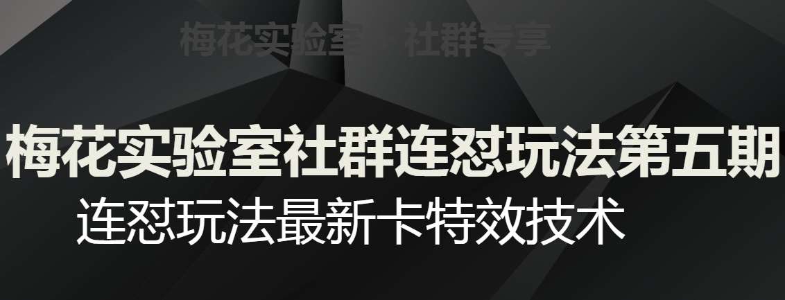 梅花实验室社群连怼玩法第五期,视频号连怼玩法最新卡特效技术网创吧-网创项目资源站-副业项目-创业项目-搞钱项目网创吧