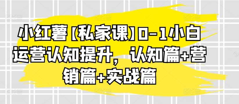 小红薯【私家课】0-1小白运营认知提升，认知篇+营销篇+实战篇网创吧-网创项目资源站-副业项目-创业项目-搞钱项目网创吧