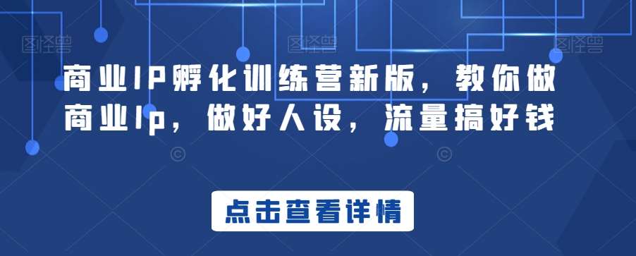 商业IP孵化训练营新版，教你做商业Ip，做好人设，流量搞好钱网创吧-网创项目资源站-副业项目-创业项目-搞钱项目网创吧