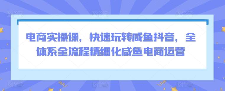 电商实操课，快速玩转咸鱼抖音，全体系全流程精细化咸鱼电商运营网创吧-网创项目资源站-副业项目-创业项目-搞钱项目网创吧