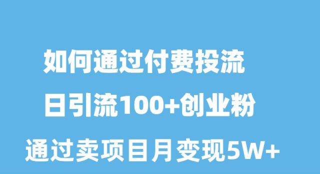 (10189期)如何通过付费投流日引流100+创业粉月变现5W+网创吧-网创项目资源站-副业项目-创业项目-搞钱项目网创吧