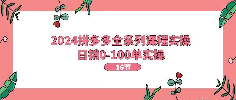 (11222期)2024拼多多全系列课程实操,日销0-100单实操【16节课】网创吧-网创项目资源站-副业项目-创业项目-搞钱项目网创吧