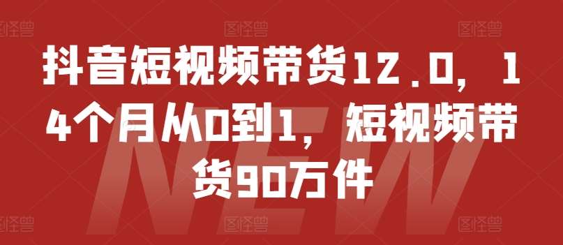 抖音短视频带货12.0，14个月从0到1，短视频带货90万件网创吧-网创项目资源站-副业项目-创业项目-搞钱项目网创吧