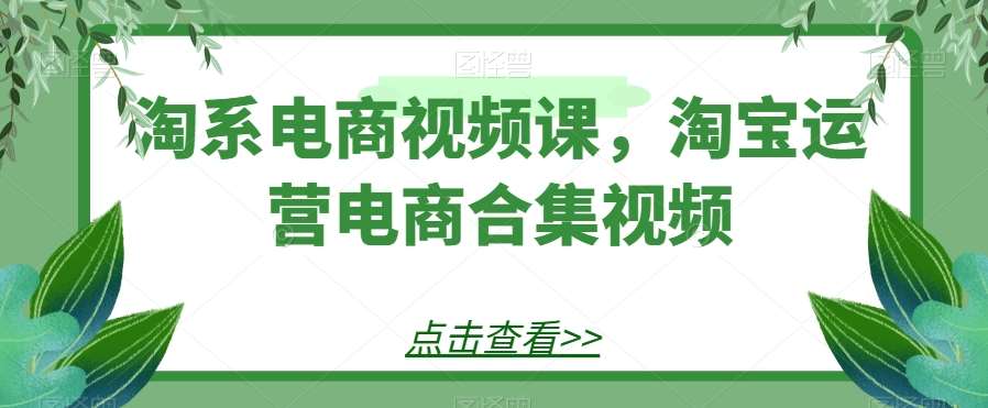 淘系电商视频课，淘宝运营电商合集视频网创吧-网创项目资源站-副业项目-创业项目-搞钱项目网创吧