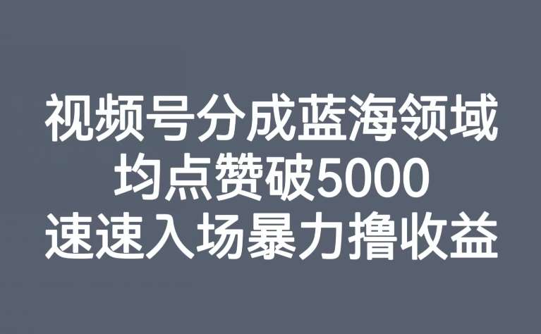 视频号分成蓝海领域，均点赞破5000，速速入场暴力撸收益网创吧-网创项目资源站-副业项目-创业项目-搞钱项目网创吧