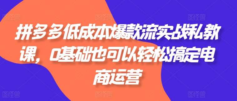 拼多多低成本爆款流实战私教课，0基础也可以轻松搞定电商运营网创吧-网创项目资源站-副业项目-创业项目-搞钱项目网创吧