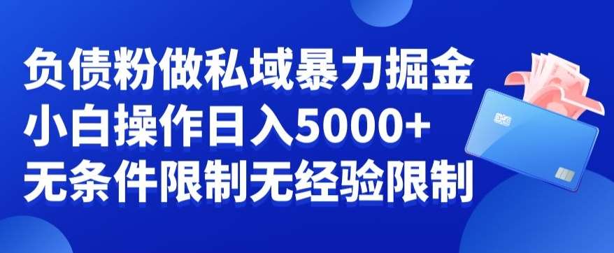负债粉私域暴力掘金，小白操作入5000，无经验限制，无条件限制【揭秘】网创吧-网创项目资源站-副业项目-创业项目-搞钱项目网创吧