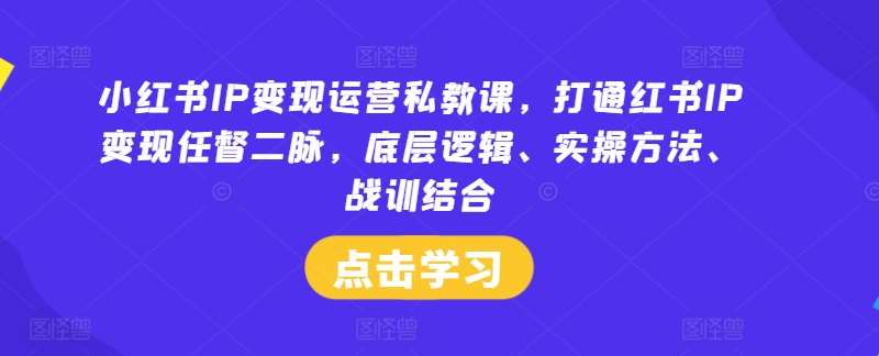 小红书IP变现运营私教课，打通红书IP变现任督二脉，底层逻辑、实操方法、战训结合网创吧-网创项目资源站-副业项目-创业项目-搞钱项目网创吧