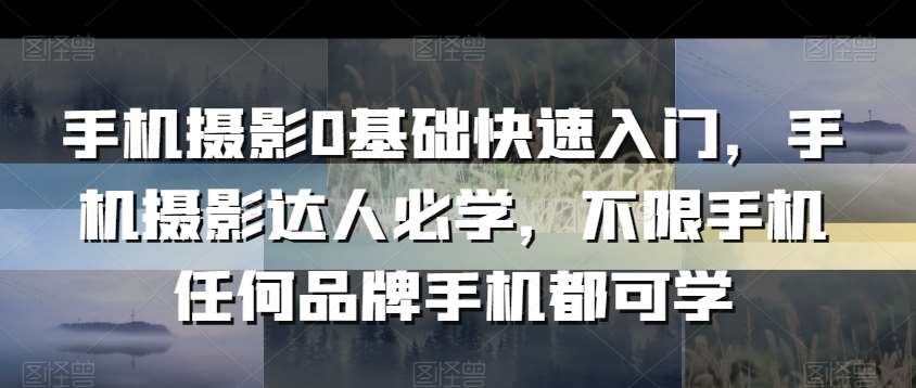 手机摄影0基础快速入门，手机摄影达人必学，不限手机任何品牌手机都可学网创吧-网创项目资源站-副业项目-创业项目-搞钱项目网创吧