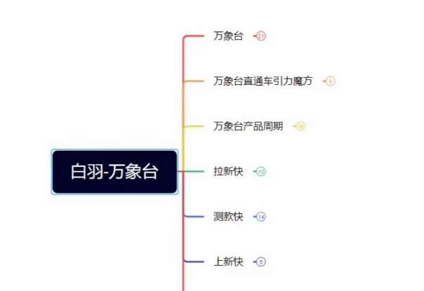 白羽·直引万搜索全篇，从0-1，多个类目实操经验总结付费网创吧-网创项目资源站-副业项目-创业项目-搞钱项目网创吧