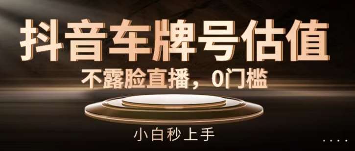 抖音车牌号估值，不露脸直播，0门槛，小白秒上手【揭秘】网创吧-网创项目资源站-副业项目-创业项目-搞钱项目网创吧