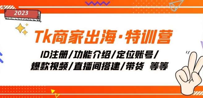 Tk商家出海·特训营：ID注册/功能介绍/定位账号/爆款视频/直播间搭建/带货网创吧-网创项目资源站-副业项目-创业项目-搞钱项目网创吧