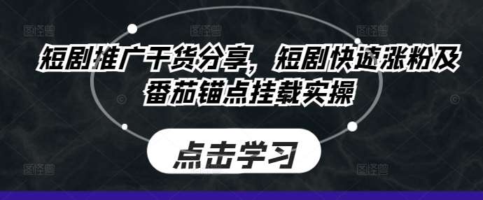 短剧推广干货分享,短剧快速涨粉及番茄锚点挂载实操网创吧-网创项目资源站-副业项目-创业项目-搞钱项目网创吧
