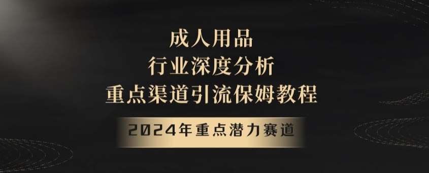 2024年重点潜力赛道，成人用品行业深度分析，重点渠道引流保姆教程【揭秘】网创吧-网创项目资源站-副业项目-创业项目-搞钱项目网创吧