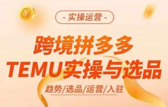 跨境拼多多TEMU实操与选品，多多temu跨境选品运营实操网创吧-网创项目资源站-副业项目-创业项目-搞钱项目网创吧