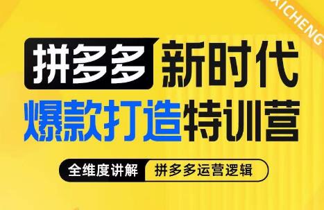 玺承·拼多多新时代爆款打造特训营,全维度讲解拼多多运营逻辑网创吧-网创项目资源站-副业项目-创业项目-搞钱项目网创吧