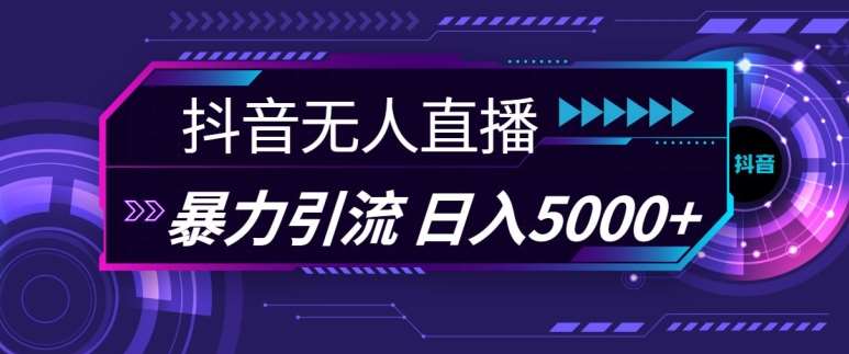 抖音快手视频号全平台通用无人直播引流法，利用图片模板和语音话术，暴力日引流100+创业粉【揭秘】网创吧-网创项目资源站-副业项目-创业项目-搞钱项目网创吧