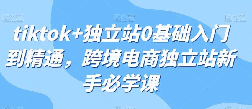 tiktok+独立站0基础入门到精通，跨境电商独立站新手必学课网创吧-网创项目资源站-副业项目-创业项目-搞钱项目网创吧