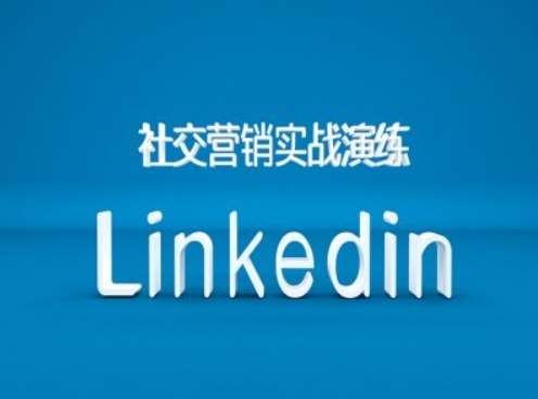 社交营销实战演练之Linkedin营销课程，B2B跨境外贸的新出路网创吧-网创项目资源站-副业项目-创业项目-搞钱项目网创吧