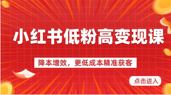 小红书低粉高变现课-降本增效，更低成本精准获客，小红书必爆的流量密码网创吧-网创项目资源站-副业项目-创业项目-搞钱项目网创吧