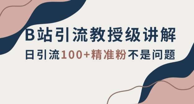 B站引流教授级讲解，细节满满，日引流100+精准粉不是问题【揭秘】网创吧-网创项目资源站-副业项目-创业项目-搞钱项目网创吧